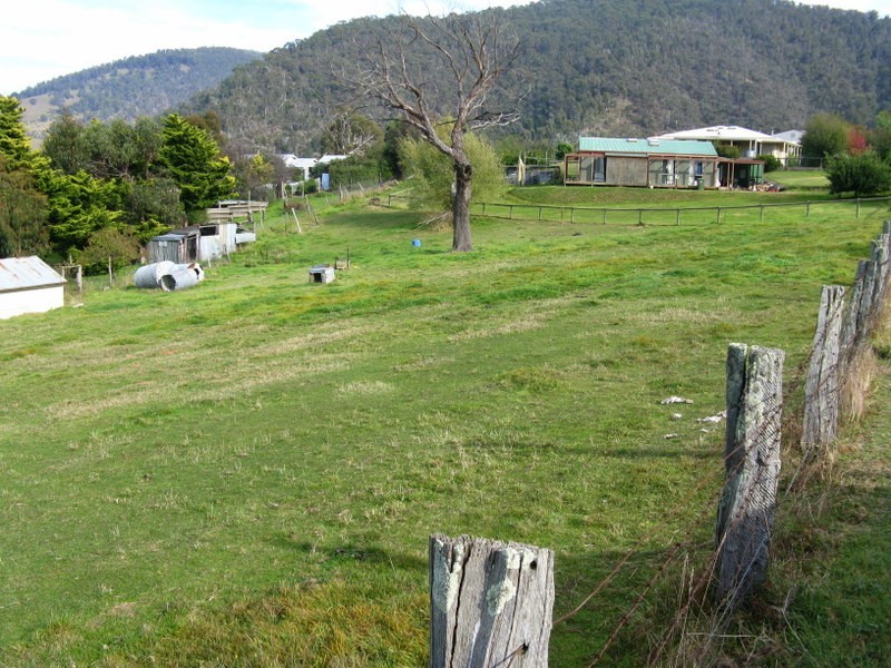 5 Brumley Street, Omeo VIC 3898