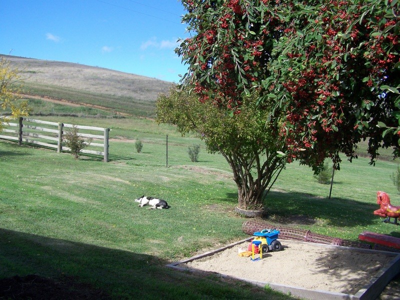 115 Parish Boundary Lane, Omeo VIC 3898