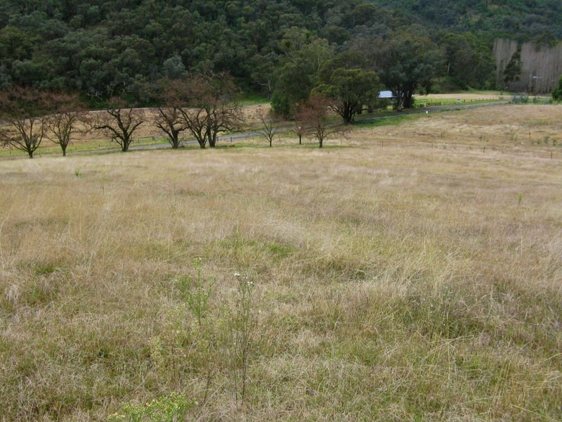 1385 Cassilis Road, Cassilis VIC 3898