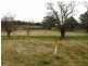 1385 Cassilis Road, Cassilis VIC 3898