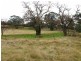 1385 Cassilis Road, Cassilis VIC 3898