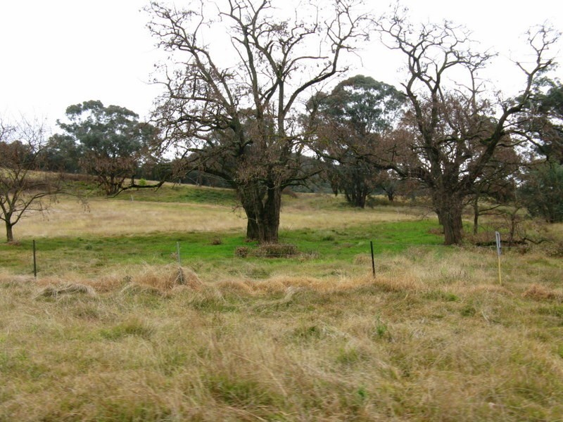 1385 Cassilis Road, Cassilis VIC 3898