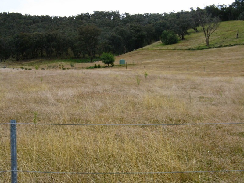 1385 Cassilis Road, Cassilis VIC 3898