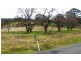 1385 Cassilis Road, Cassilis VIC 3898