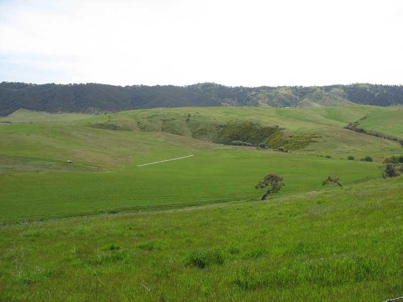 135 Parish Boundary Lane, Omeo VIC 3898
