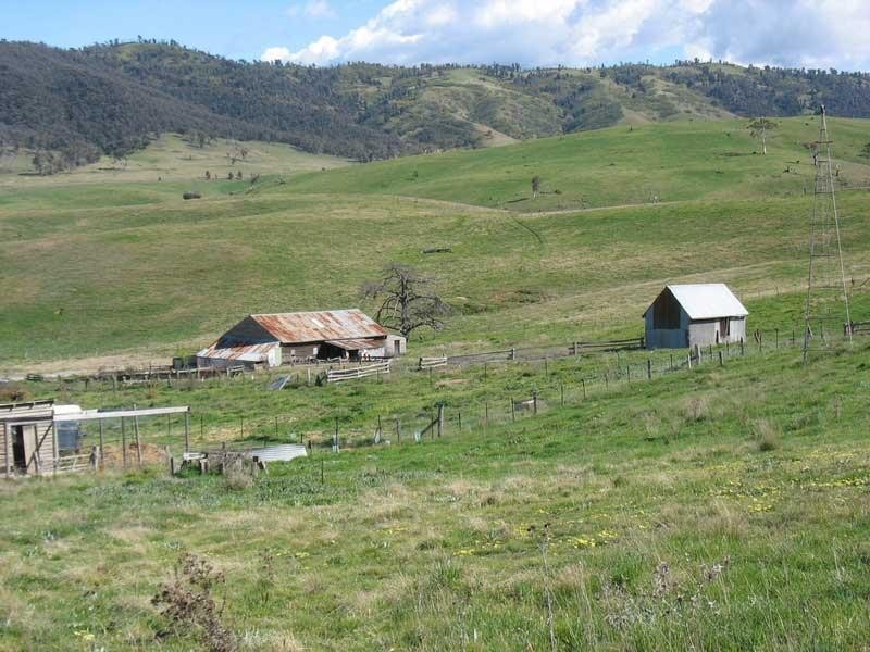 135 Parish Boundary Lane, Omeo VIC 3898