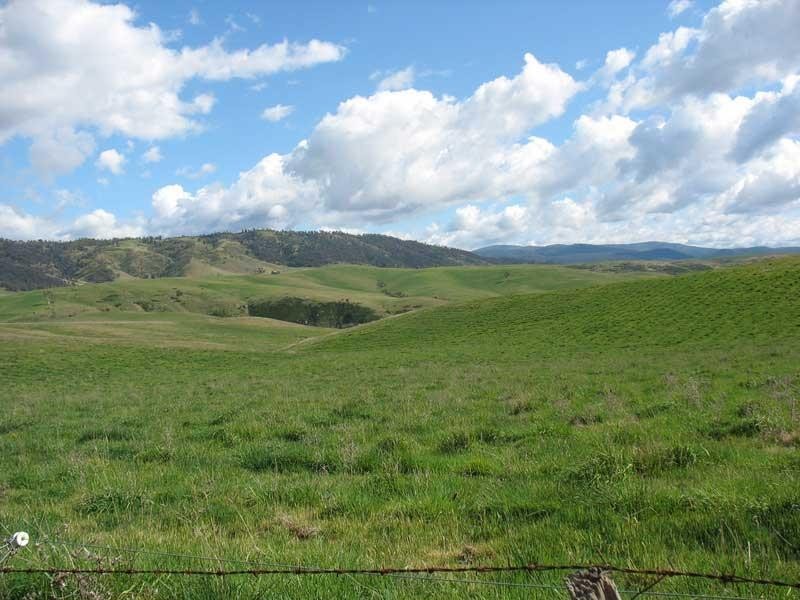 135 Parish Boundary Lane, Omeo VIC 3898