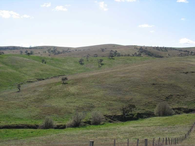 135 Parish Boundary Lane, Omeo VIC 3898