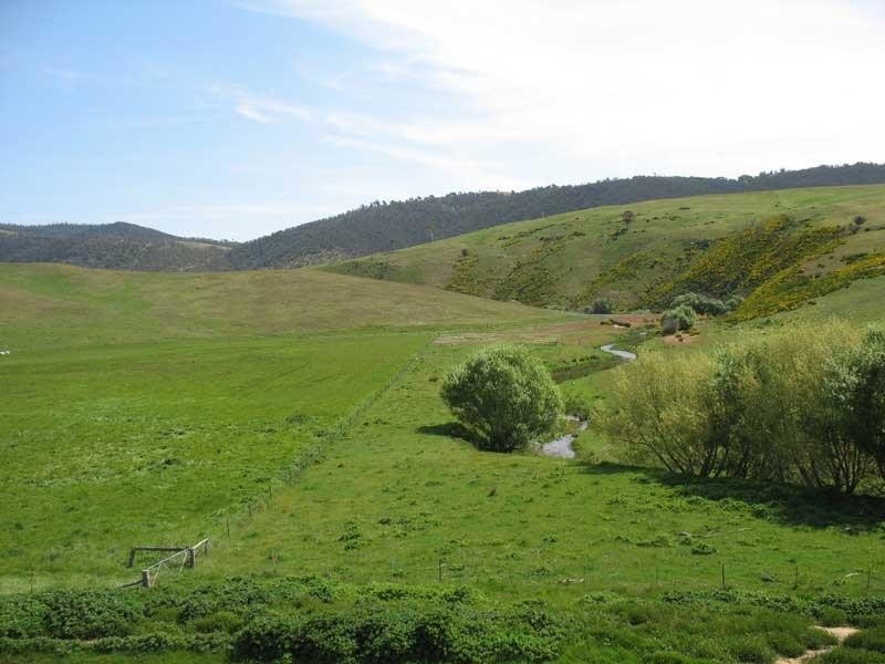 135 Parish Boundary Lane, Omeo VIC 3898