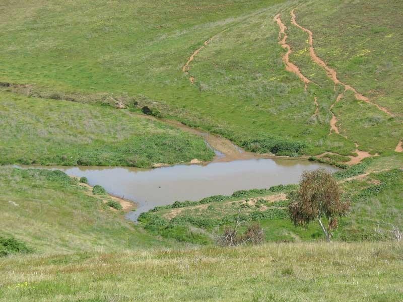 135 Parish Boundary Lane, Omeo VIC 3898