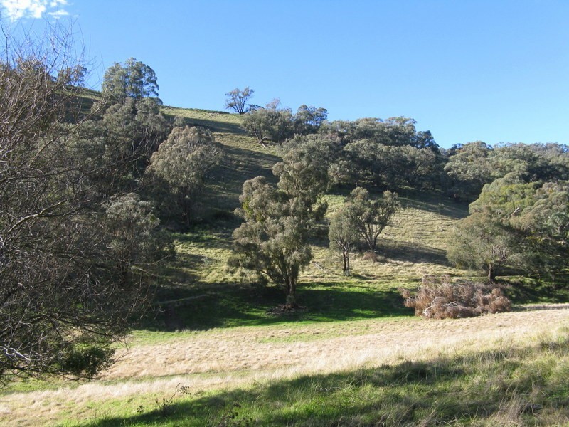 1466 Cassilis Road, Cassilis VIC 3898
