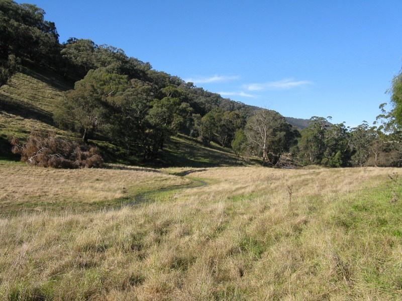 1466 Cassilis Road, Cassilis VIC 3898