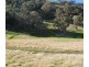 1466 Cassilis Road, Cassilis VIC 3898