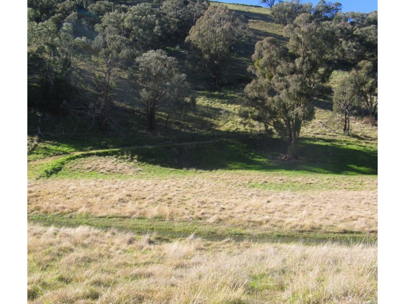 1466 Cassilis Road, Cassilis VIC 3898