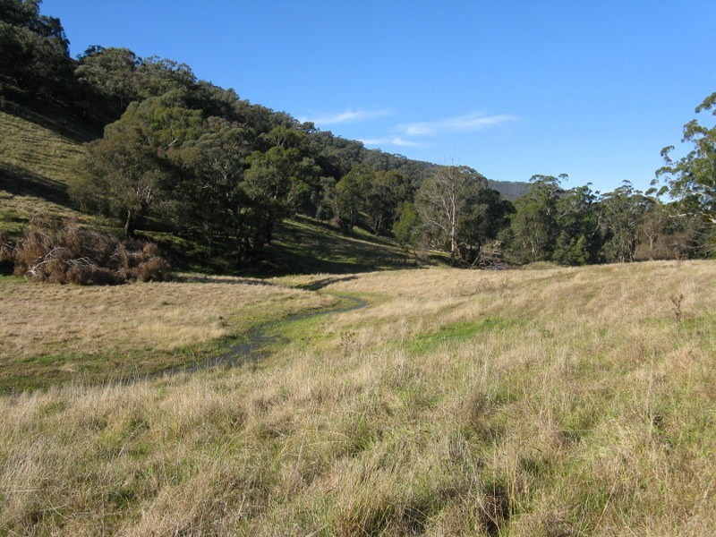 1466 Cassilis Road, Cassilis VIC 3898