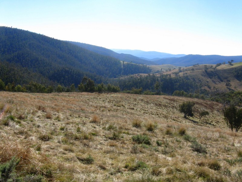 890 High Forest Road, Omeo VIC 3898