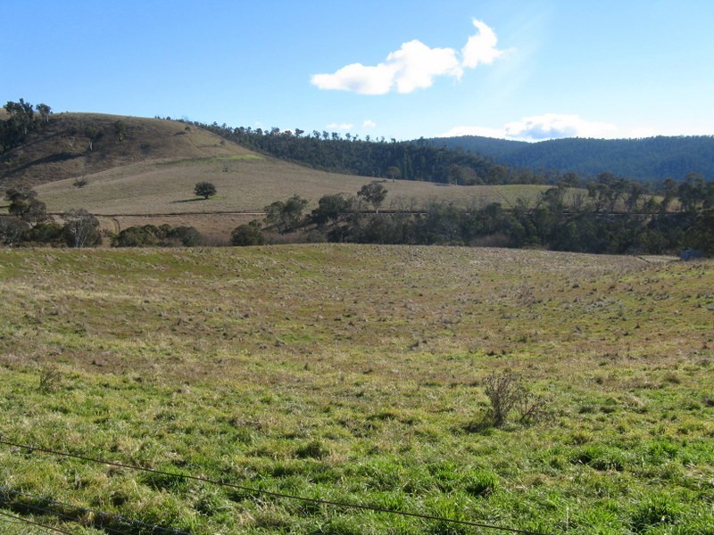 890 High Forest Road, Omeo VIC 3898