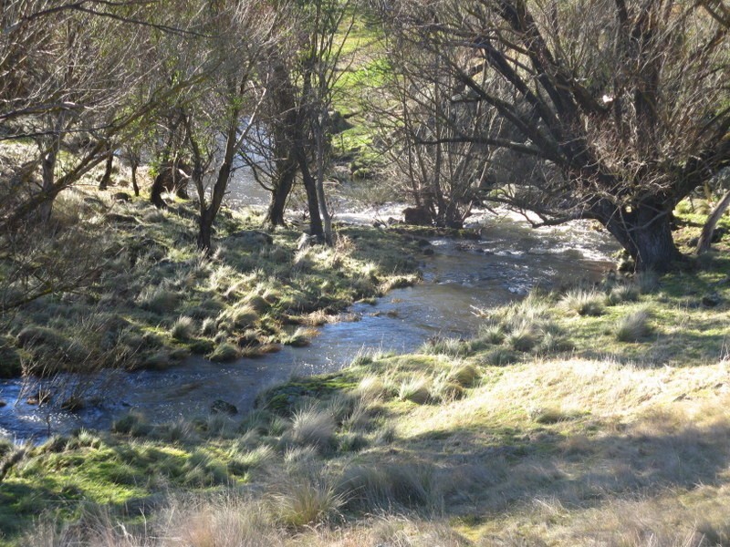 890 High Forest Road, Omeo VIC 3898