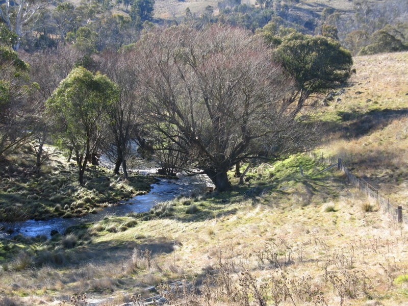 890 High Forest Road, Omeo VIC 3898