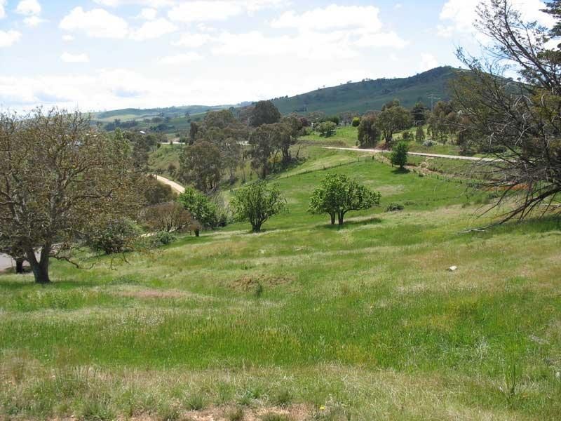 56 Day Avenue, Omeo VIC 3898