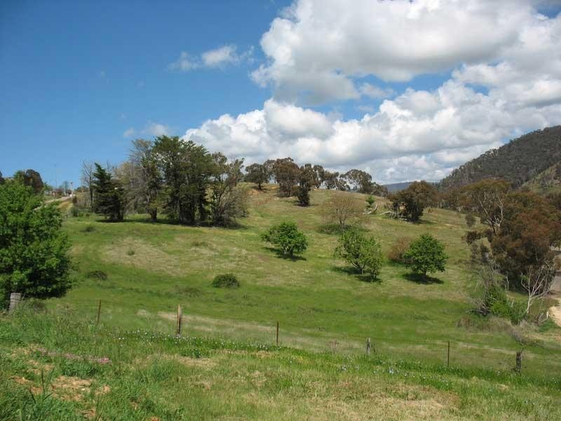 56 Day Avenue, Omeo VIC 3898