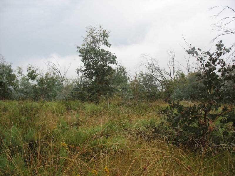 540 Victoria Falls Road Cobungra Via, Omeo VIC 3898