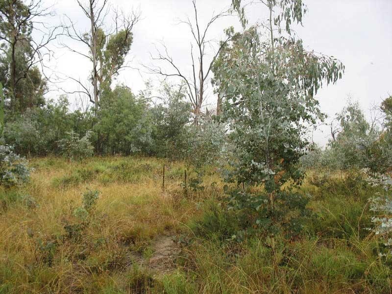 540 Victoria Falls Road Cobungra Via, Omeo VIC 3898