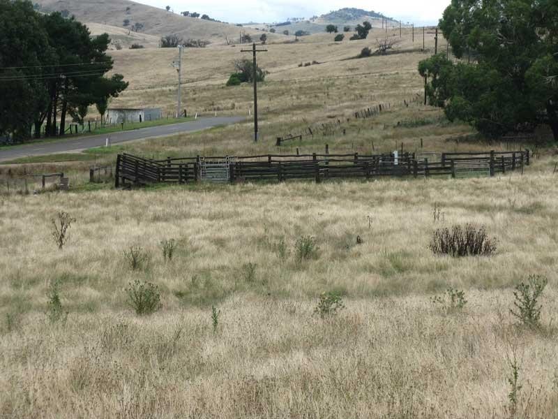 333 Omeo Valley Road, Omeo VIC 3898