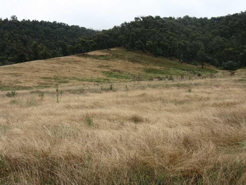 333 Omeo Valley Road, Omeo VIC 3898