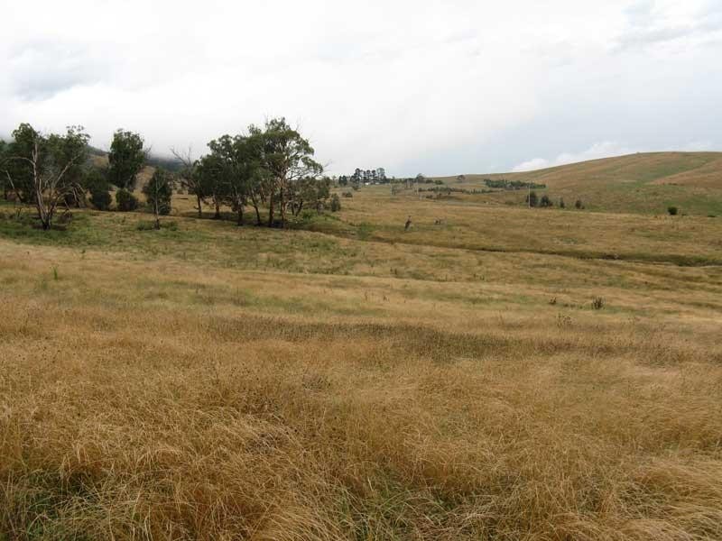 333 Omeo Valley Road, Omeo VIC 3898