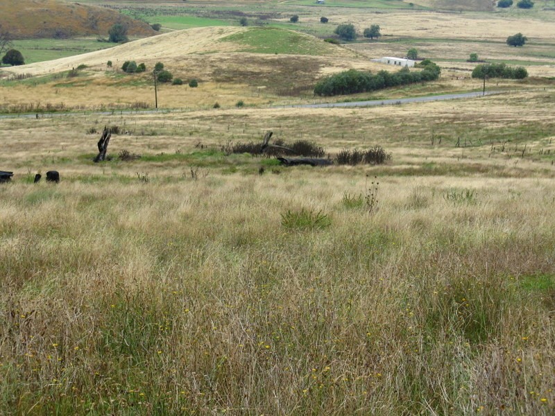 333 Omeo Valley Road, Omeo VIC 3898