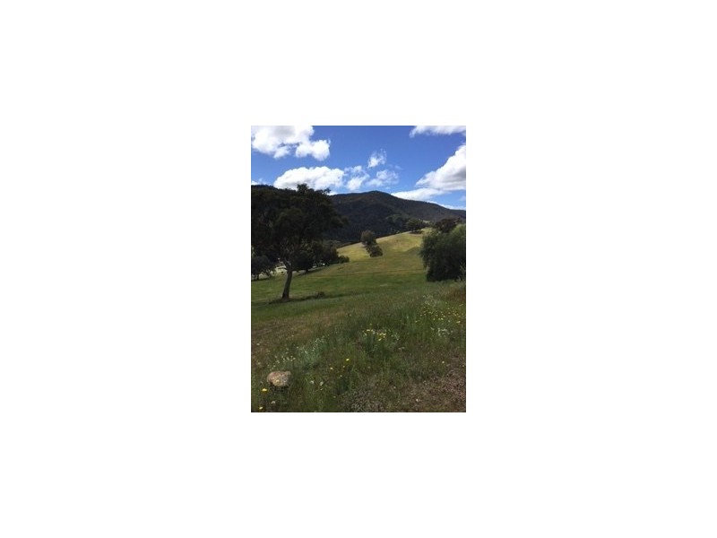 1375 Cassilis Road Cassilis Via, Omeo VIC 3898