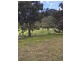 1375 Cassilis Road Cassilis Via, Omeo VIC 3898
