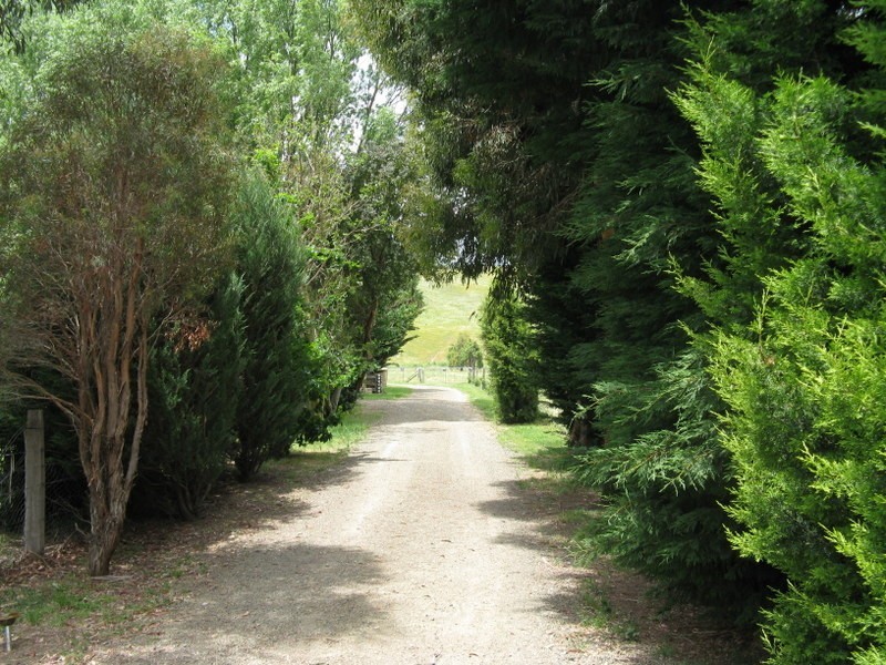 52 Omeo Valley Road, Omeo VIC 3898