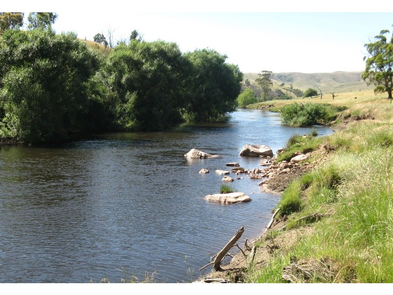 THE DOG GATE Kelly’s Road, Omeo VIC 3898