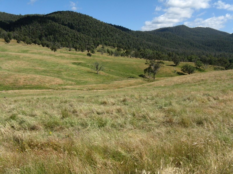 THE DOG GATE Kelly’s Road, Omeo VIC 3898