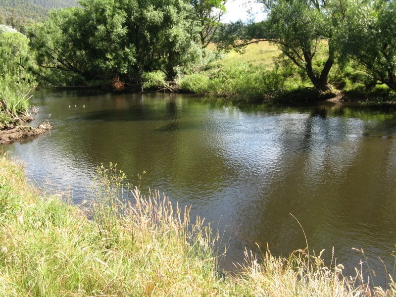 THE DOG GATE Kelly’s Road, Omeo VIC 3898