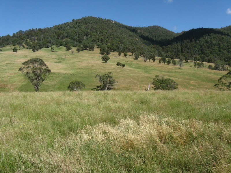 THE DOG GATE Kelly’s Road, Omeo VIC 3898