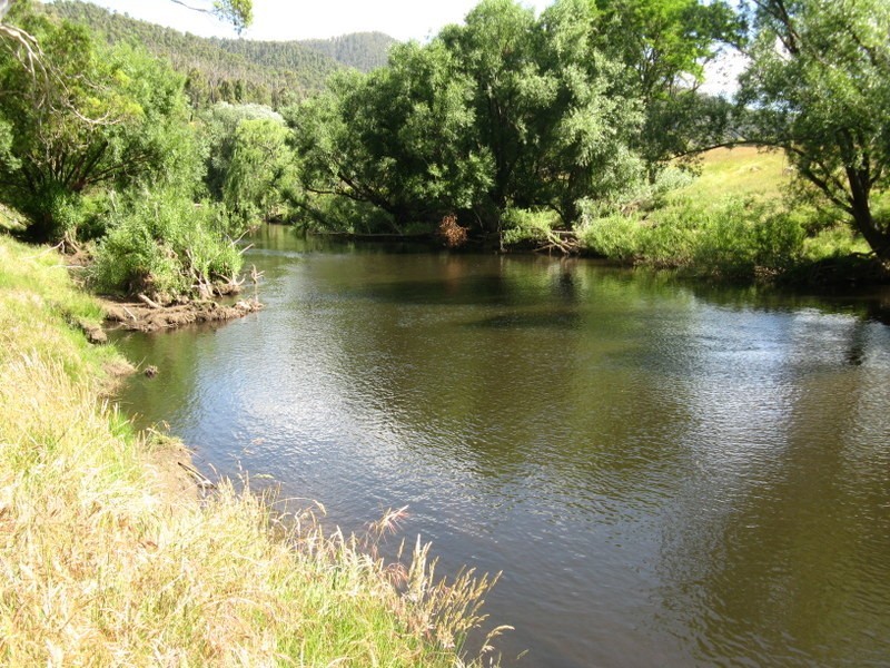 THE DOG GATE Kelly’s Road, Omeo VIC 3898