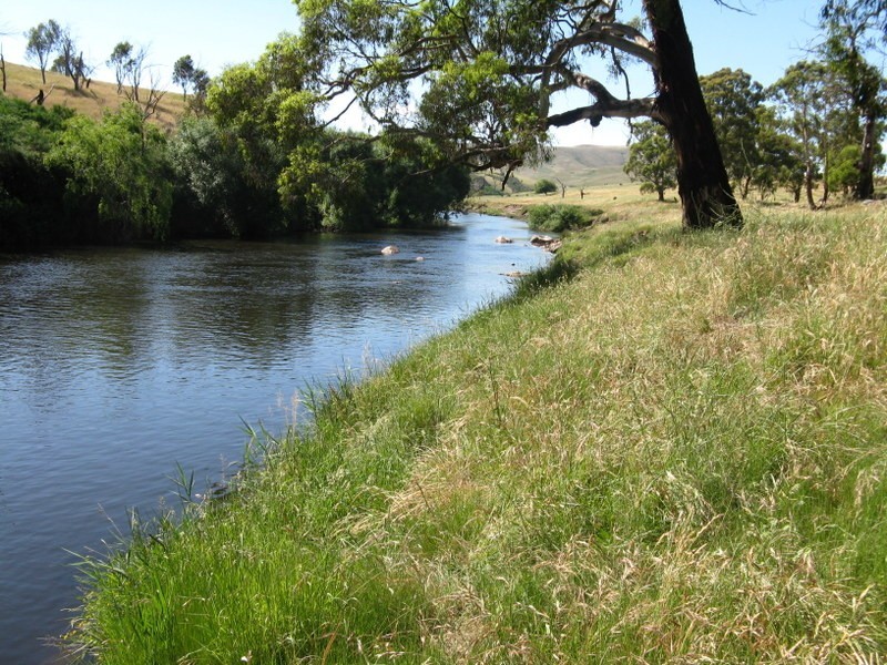 THE DOG GATE Kelly’s Road, Omeo VIC 3898