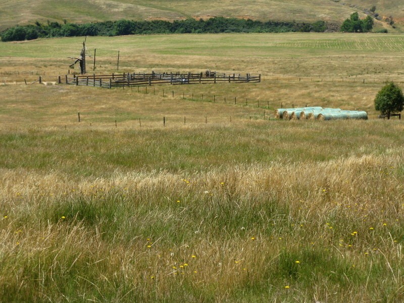 “Kelly’s” Omeo Valley Road, Omeo VIC 3898