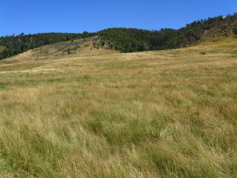“Kelly’s” Omeo Valley Road, Omeo VIC 3898