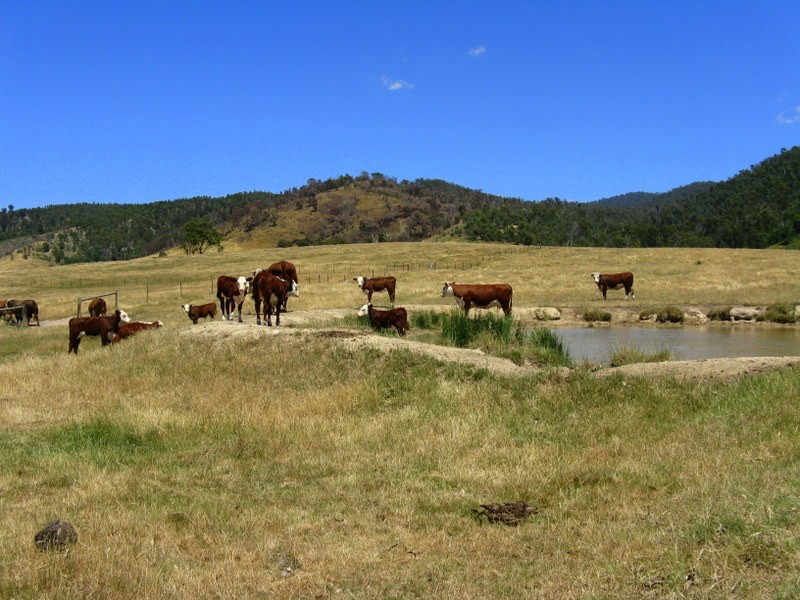 “Kelly’s” Omeo Valley Road, Omeo VIC 3898