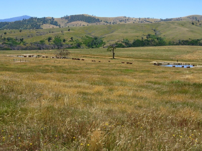 “Kelly’s” Omeo Valley Road, Omeo VIC 3898