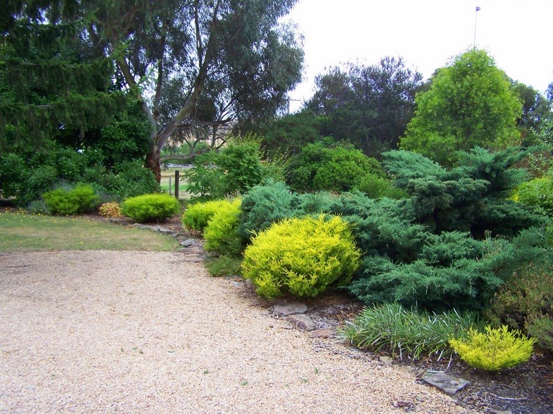 92 Day Avenue, Omeo VIC 3898