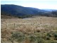 890 High Forest Road, Omeo VIC 3898