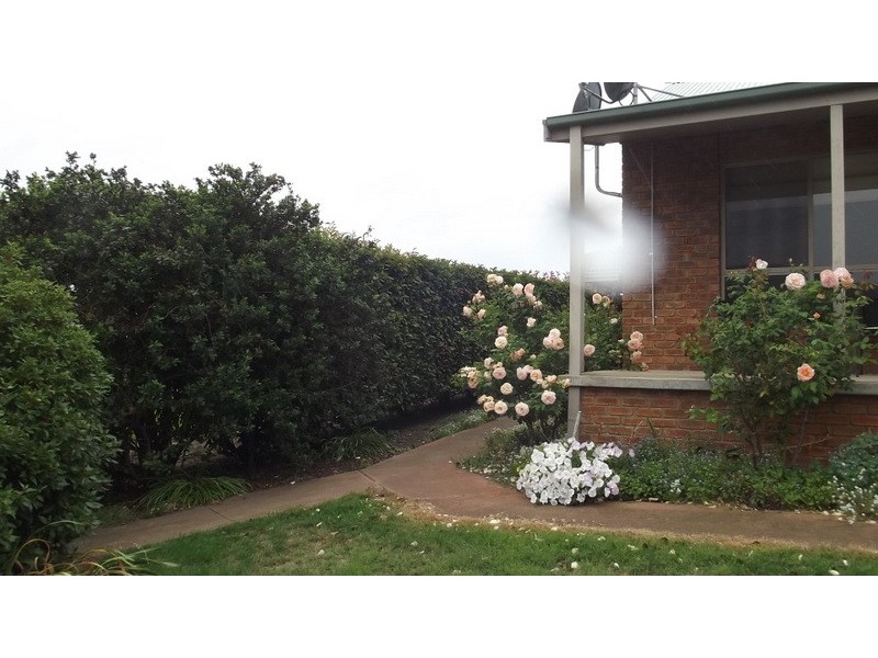 76 Sebastopol Hill Road, Omeo VIC 3898