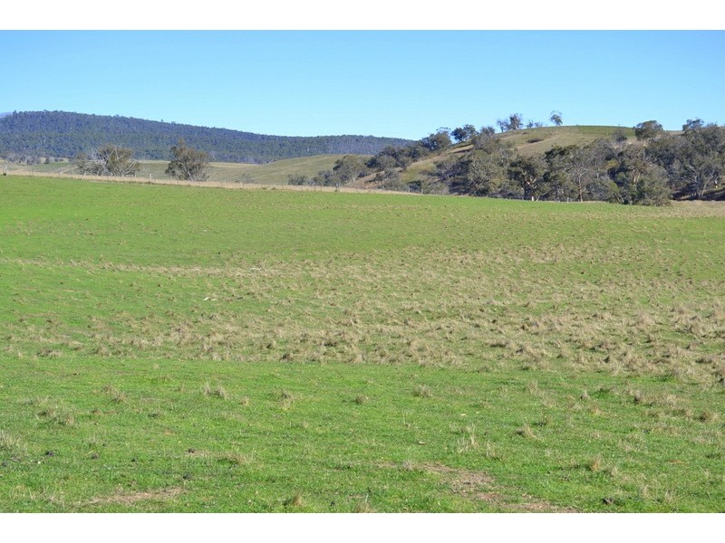 Lot 1 Great Alpine Road, Omeo VIC 3898