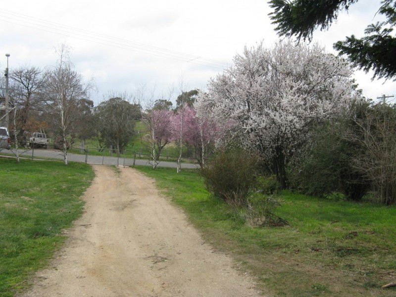 120 Day Avenue, Omeo VIC 3898