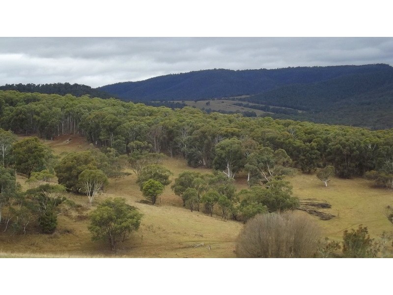 279 McKinnons Road, Benambra VIC 3900